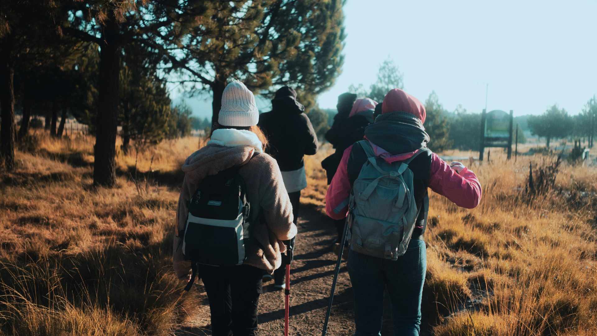 4 Frauen in Wanderkleidung im Wald